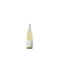 Witte Wijnen  Bisanzio Trebbiano d'Abruzzo DOP 2022 - Codice Citra 5,21 â‚¬ Witte Wijnen  Bisanzio Trebbiano d'Abruzzo DOP 2022 - Codice Citra 5,21 â‚¬
