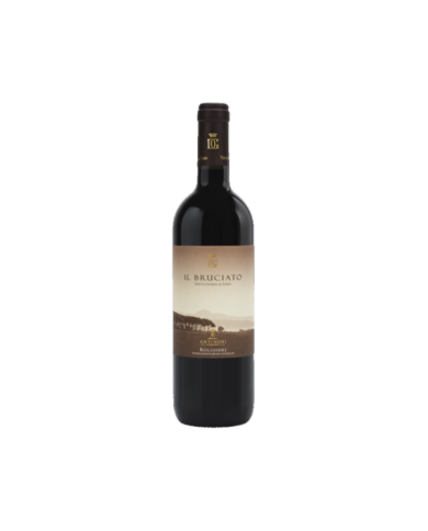 Rode wijnen  Il Bruciato Bolgheri Rosso DOC 2022 - Antinori 26,15 € Rode wijnen  Il Bruciato Bolgheri Rosso DOC 2022 - Antinori 26,15 €