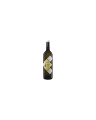 Vini Bianchi  Palio Pecorino Terre di Chieti IGP 2020 - Codice Citra 7,03 €