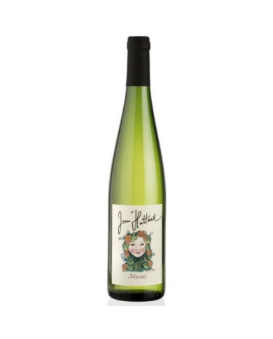 Witte Wijnen  Muscat 2016 - Jean-Huttard 12,10&nbsp;€