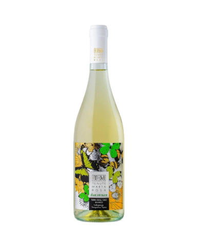 White wines  Due Versure Bianco Terre degli Osci IGT 2024 - Martarosa 10,66 € White wines  Due Versure Bianco Terre degli Osci IGT 2024 - Martarosa 10,66 €