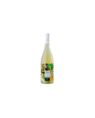 White wines  Due Versure Bianco Terre degli Osci IGT 2024 - Martarosa 10,66 €