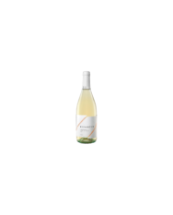 White wines  Bisanzio Chardonnay Terre di Chieti IGP 2022 - Codice Citra 5,21 â‚¬ White wines  Bisanzio Chardonnay Terre di Chieti IGP 2022 - Codice Citra 5,21 â‚¬