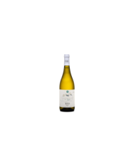 Witte Wijnen  Al di La' Passerina Colline Pescaresi BIO IGT 2022 - Petrini 9,10 €