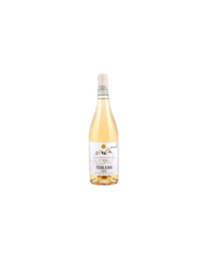 White wines  Portami al Mare Pecorino d'Abruzzo DOC BIO 2022 - Petrini 9,10 €