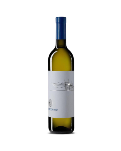White wines  Pecorino Abruzzo DOC 2022 - Tenuta i Fauri 11,70 €
