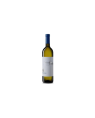 Witte Wijnen  Pecorino Abruzzo DOC 2022 - Tenuta i Fauri 11,70 â‚¬ Witte Wijnen  Pecorino Abruzzo DOC 2022 - Tenuta i Fauri 11,70 â‚¬