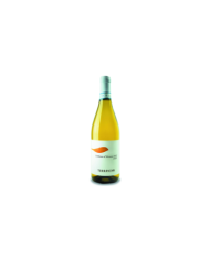 Witte Wijnen  Trebbiano d'Abruzzo Bio DOC 2021 - Terraviva 8,70 €