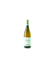 Witte Wijnen  Trebbiano d'Abruzzo Superiore Mario's 48 Bio 2020 - Terraviva 16,90 €