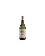 Vini Bianchi  Roero Arneis DOCG 2021 - Vietti 14,90 €