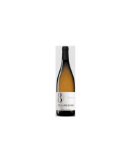 Witte Wijnen  8 1/2 Pecorino Terre di Chieti IGT 2022 - Villa Medoro 13,30 €