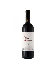 Red Wines  San Marone Pinot Nero Marche IGT 2012 - Fontezoppa 24,11 €