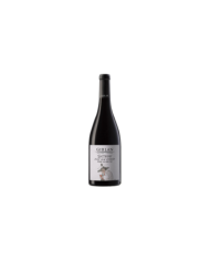 Rode wijnen  Pinot Nero Riserva Trattmann Alto Adige DOC 2022 - Girlan 40,17 €