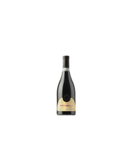 Rode wijnen  Madonnella Montepulciano d'Abruzzo DOC 2021 - Pasetti 9,80 €
