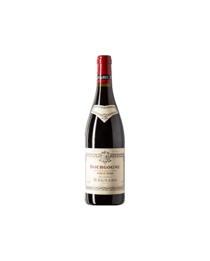 Rode wijnen  Bourgogne Pinot Noir 2022 - Régnard 23,40 €