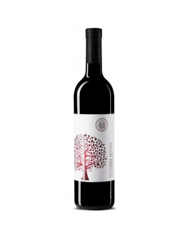 Rode wijnen  Ottobre Rosso Montepulciano d'Abruzzo DOC 2021 - Tenuta I Fauri 11,70 € Rode wijnen  Ottobre Rosso Montepulciano d'Abruzzo DOC 2021 - Tenuta I Fauri 11,70 €
