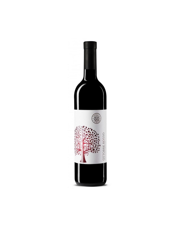 Red Wines  Ottobre Rosso Montepulciano d'Abruzzo DOC 2021 - Tenuta I Fauri 11,70 â‚¬ Red Wines  Ottobre Rosso Montepulciano d'Abruzzo DOC 2021 - Tenuta I Fauri 11,70 â‚¬