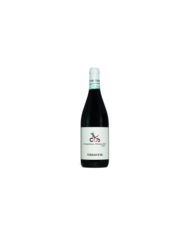 Red Wines  CO2 Montepulciano d'Abruzzo DOC Bio 2020 - Terraviva 9,90 €