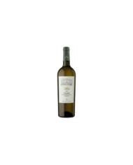 Vini Bianchi  1932 Fiano Salento IGT 2022 - Produttori di Manduria 4,84 € Vini Bianchi  1932 Fiano Salento IGT 2022 - Produttori di Manduria 4,84 €