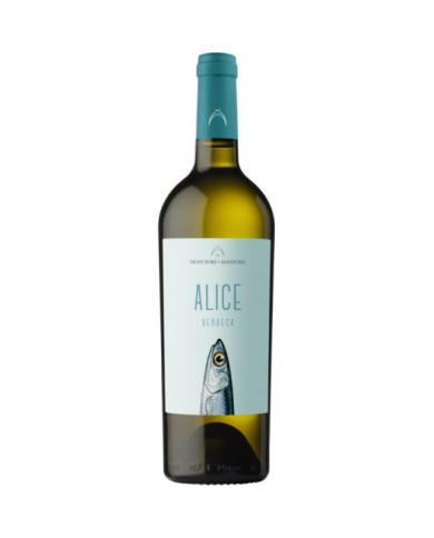 Witte Wijnen  Alice Verdeca Salento Igt 2023 - Produttori di Manduria 7,21 € Witte Wijnen  Alice Verdeca Salento Igt 2023 - Produttori di Manduria 7,21 €