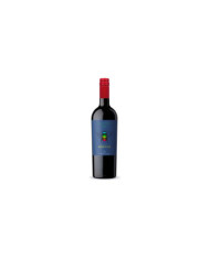 Red Wines  Electric Bee Primitivo Salento IGT 2022 – Produttori di Manduria 9,48 €