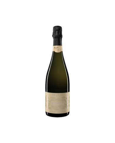 White wines  Vino Spumante Pecorino 36 mesi 2015 Fenaroli Magnum - Codice Citra 29,02 € White wines  Vino Spumante Pecorino 36 mesi 2015 Fenaroli Magnum - Codice Citra 29,02 €