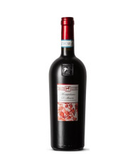 Rode wijnen  Montepulciano D'Abruzzo DOC Premium 2022 - Tenuta Ulisse 14,83 €