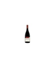 Vini Rossi  Montecoco Salice Salentino Rosso Celebration DOP 2020 - Cantine Due Palme 10,13 €