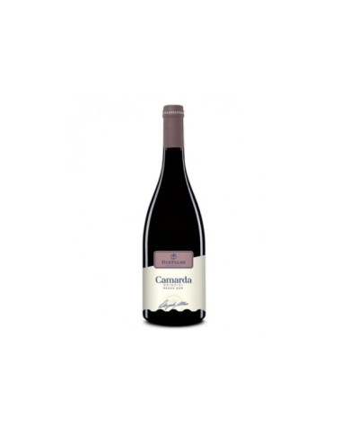 Vini Rossi  Camarda Brindisi Rosso DOP Celebration 2020 - Cantine Due Palme 10,12 â‚¬ Vini Rossi  Camarda Brindisi Rosso DOP Celebration 2020 - Cantine Due Palme 10,12 â‚¬