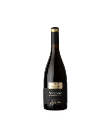 Vini Rossi  Serenere Malvasia Nera Celebration 2021 - Cantine Due Palme 9,59 â‚¬ Vini Rossi  Serenere Malvasia Nera Celebration 2021 - Cantine Due Palme 9,59 â‚¬