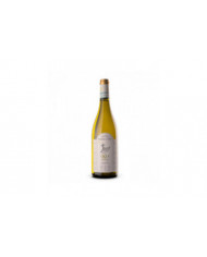 White wines  Iskra Marina Abruzzo Malvasia Doc 2021 - Masciarelli 20,00 €