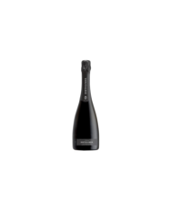 Idee Regalo  Prosecco Prior Brut Docg 2022 - Bortolomiol 9,80 €