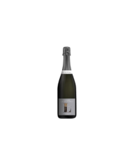 Idee Regalo  Champagne Millesime 2008 - Legret & Fils 53,30 €