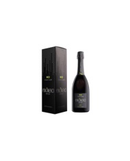 Idee Regalo  Franciacorta Pinonero Natura Astuccio 2018 - Contadi Castaldi 36,70 €