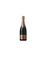 Idee Regalo  Trento Doc Maximum Rose' Astuccio - Ferrari 27,70 €