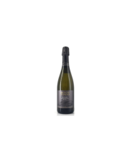 Gift Ideas  Spumante Soave Doc Brut - Montetondo 9,00 €
