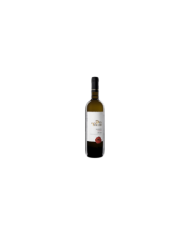 Witte Wijnen  Passerina Superiore Abruzzo DOP 2021 Duca Thaulero - Casal Thaulero 7,92 €