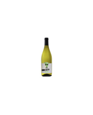 Witte Wijnen  Mr. Peco Pecorino Terre di Chieti IGP 2021 - Casal Thaulero 5,27 â‚¬ Witte Wijnen  Mr. Peco Pecorino Terre di Chieti IGP 2021 - Casal Thaulero 5,27 â‚¬