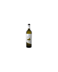 White wines  Passerina Terre di Chieti IGP 2021 Borgo Thaulero - Casal Thaulero 5,27 â‚¬ White wines  Passerina Terre di Chieti IGP 2021 Borgo Thaulero - Casal Thaulero 5,27 â‚¬