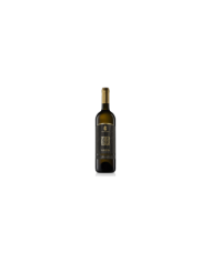 Vini Bianchi  Giada Chardonnay Terre di Chieti IGP 2020 - Evangelista 5,18 €