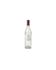 Destillate  Briottet Liquore Gingembre 21,73&nbsp;€