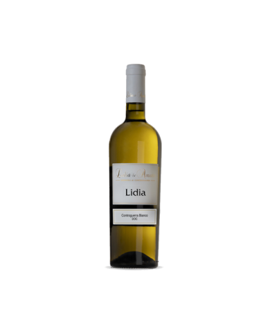White wines  LIDIA Controguerra Bianco DOP 2019 - Lidia e Amato 5,97 € White wines  LIDIA Controguerra Bianco DOP 2019 - Lidia e Amato 5,97 €