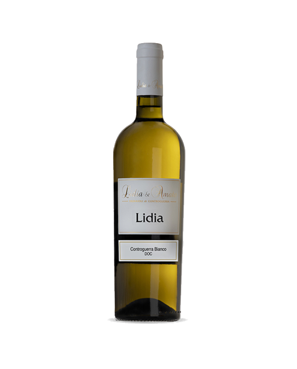 White wines  LIDIA Controguerra Bianco DOP 2019 - Lidia e Amato 5,97 â‚¬ White wines  LIDIA Controguerra Bianco DOP 2019 - Lidia e Amato 5,97 â‚¬
