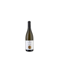 Witte Wijnen  Catarratto Lucido Terre Siciliane IGT 2013 - Marco De Bartoli 12,13 €