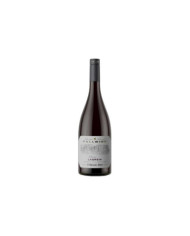 Witte Wijnen  Lagrein Fallwind Riserva DOC 2013 - San Michele Appiano 32,70&nbsp;€