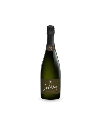 Vini Grandi Formati  Franciacorta DOCG Dosaggio Zero magnum - SoloUva 44,26 € Vini Grandi Formati  Franciacorta DOCG Dosaggio Zero magnum - SoloUva 44,26 €