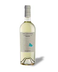 Witte Wijnen  Valle D’Oro Traminer Terre di Chieti Igp 2023 - Cantina Tollo 7,08 €