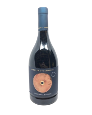 Vini Rossi  Rosso da uve Appassite Terre di Chieti IGP 2022 Giannicola Di Carlo - Vigna Madre 11,15 €