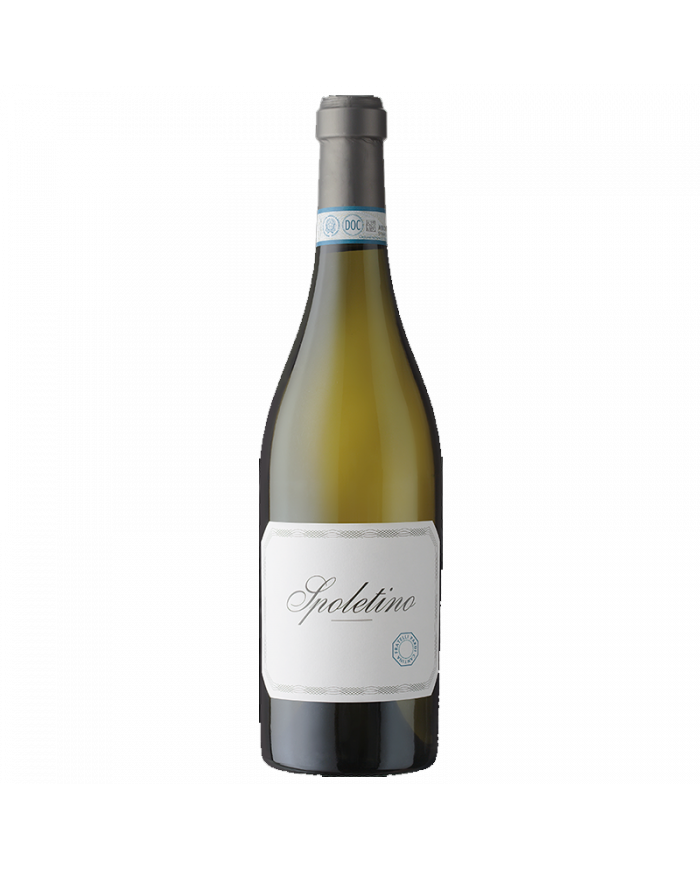 White wines  Spoletino Spoleto Trebbiano Spoletino DOC 2022 - Cantina Fratelli Pardi 15,96 €