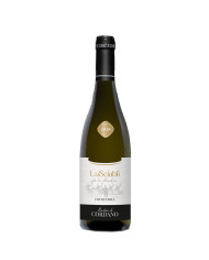Witte Wijnen  LU SCIABLI’ Cococciola Collezione Privata 2019 - Marchesi de Cordano 11,45 â‚¬ Witte Wijnen  LU SCIABLI’ Cococciola Collezione Privata 2019 - Marchesi de Cordano 11,45 â‚¬